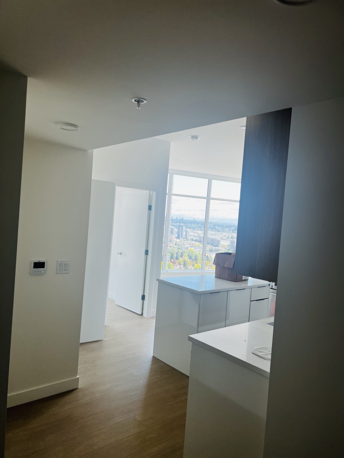 Luxury suite interior finishing work